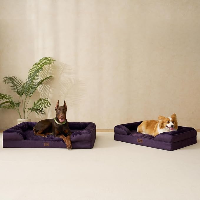 EHEYCIGA Orthopedic Dog Beds for Large Dogs, Waterproof Memory Foam Large Dog Bed with Sides, Non-Slip Bottom and Egg-Crate Foam Pet Couch Bed with Washable Removable Cover, Purple