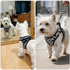 PUPTECK Adjustable Dog Harness Collar and Leash Set Step in No Pull Pet Harness for Small Medium Dogs Puppy and Cats Outdoor Walking Running, Checkered Black&White L