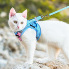 Dooradar Cat Harness and Leash Set, Escape Proof Lightweight Kitten Harness, Soft Breathable Reflective Vest for Outdoor Walking Traveling, Adjustable for Large Cats, Pink & Blue, L