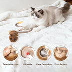 Migipaws Interactive MigiMouse Cat Toy 360° Rolling & Spin with Wiggling Tail for Indoor Cats Smart Motion Sensor, Realistic Squeak, Rechargeable Plush Kitten Toy (Brown)