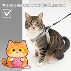 ROYPET Step-in Air Dog Harness, All Weather Mesh Step in Vest Harness for Small and Medidum Dogs and Cats, Adjustable Soft Padded Dog Vest with Easy Control Handle for Dogs Pets (Light Gray, XXL)