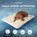 Pelsbarn Dog Cooling Mat- Ice Silk Summer Comfort, Self Cooling, Non-Slip Dog Pad, Durable & Washable, Mat for Extra Large Dogs 33"" x 45"", Support Shelter Dogs with Every Purchase (Beige)
