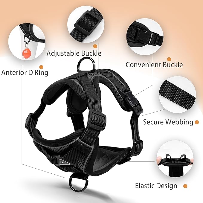 No Pull Dog Harness with Leash Set for Small Sized Dog, Reflective Adjustable No Choke Front Clip Cat Vest Harness with Breathable Mesh, Comfortable Soft Padded Pet Vest, Black L