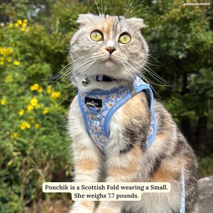 Lucy & Co. Simply Splendid Step-in Cat Harness & Leash Bundle – Reflective, Breathable & Adjustable Harness for Cats, Kittens & Small Dogs, Lightweight & Secure and Dual Leash Clips – Large