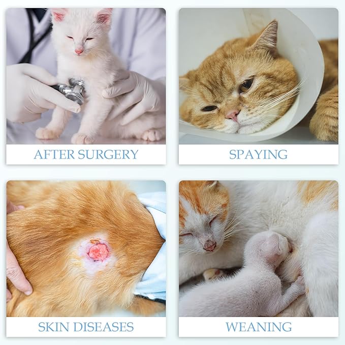 ANWA Cat Recovery Suit - Breathable Cat Onesie for Cats After Surgery Female, Kitten Surgery Recovery Suit Female Abdominal Wounds