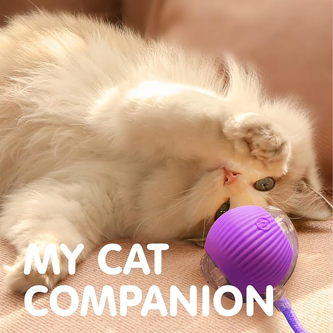 Rocfish Durable Interactive Cat Toys for Indoor Cats, Smart Automatic Cat Chase Ball Toy, Upgraded Speedy Tail Kitten Toy for Bored Indoor Adult Pets (Purple)