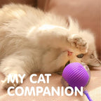Rocfish Durable Interactive Cat Toys for Indoor Cats, Smart Automatic Cat Chase Ball Toy, Upgraded Speedy Tail Kitten Toy for Bored Indoor Adult Pets (Purple)