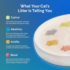 PrettyLitter Health Monitoring Cat Litter (Lotus Flower, Non Clumping) | Lightweight & Low Tracking, Color Changing Silica Gel Crystals, Advanced Odor Control — 6 Lbs, Pack of 1 (Up to 1 Month Supply)