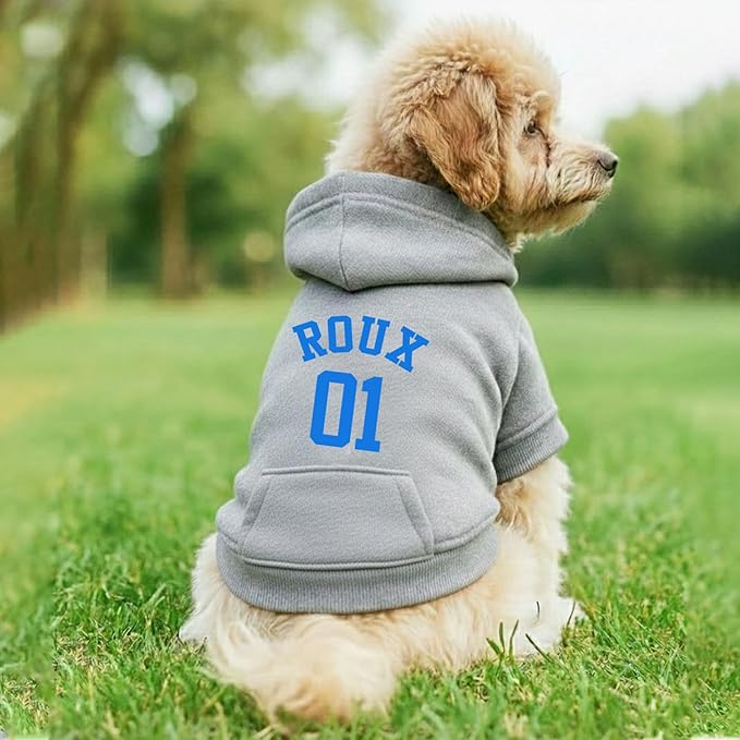 Personalized Name Dog Hoodie, Printed/Embroidered Puppy Sweater with Name/Text, Custom Pet Clothes Warm Winter Outfit for Dogs, Bright Puppy Sweatshirt, Pet Birthday Outfit, Gift for Dog Lovers 03