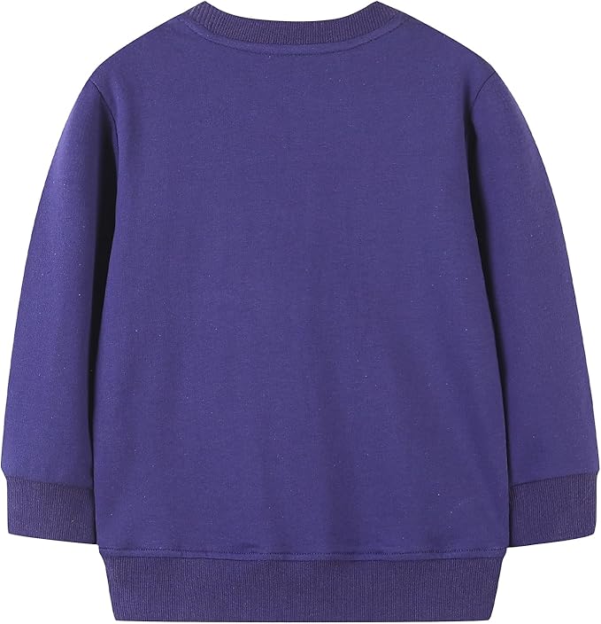 Bumeex Toddler Girl Sweatshirt Clothes Outfit,Cotton Crewneck Christmas Clothing