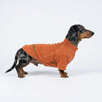 Fitwarm 3 Pack Classic Fleece Dog Sweater, Turtleneck Dog Sweatshirt, Winter Clothes for Small Dogs BoyGirl, Pet Pullover Jumper, Cat Apparel, Orange, Yellow, Coffee, Medium
