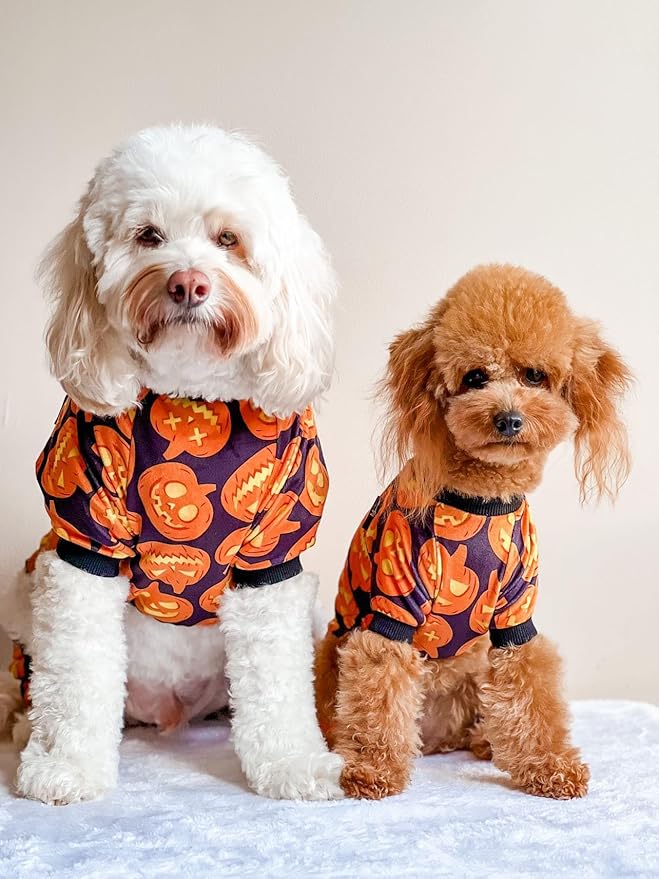 Fitwarm Halloween Pumpkin Dog Pajamas, Funny Dog Winter Clothes for Small Dogs Girl Boy, Pet Jumpsuit, Cat Halloween Costumes with Feet, Lightweight Velvet, Black, Orange, Medium