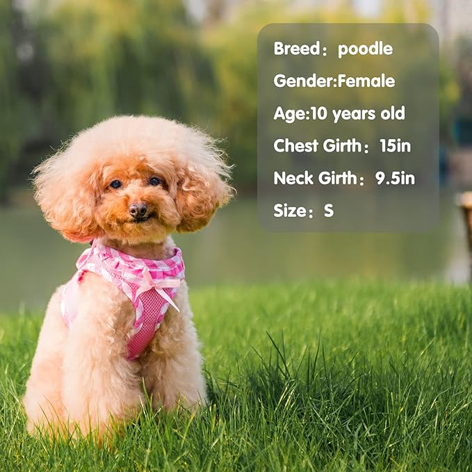 PUPTECK Dog Harness for Puppy and Small Sized Dogs, Step-in No Pull Soft Mesh Vest Harness for Cats Small Pets Walking, Pink, New XXS