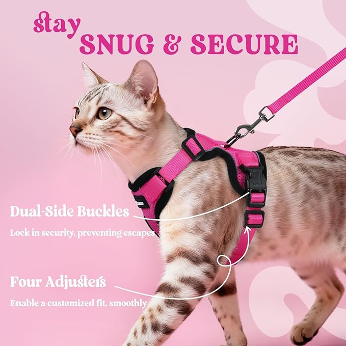 rabbitgoo Cat Harness and Leash for Walking, Escape Proof Soft Adjustable Vest Harnesses for Cats, Easy Control Breathable Reflective Strips Jacket, Rose Red, M