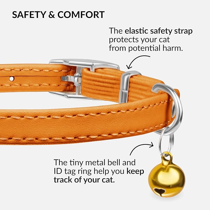 CollarDirect Leather Cat Collar with Bell - Kitten Collar, Small and Big Cat Strap for Boy Cats, Girl Cats with Safety Elastic Strap (Neck Fit 8"-11", Orange)
