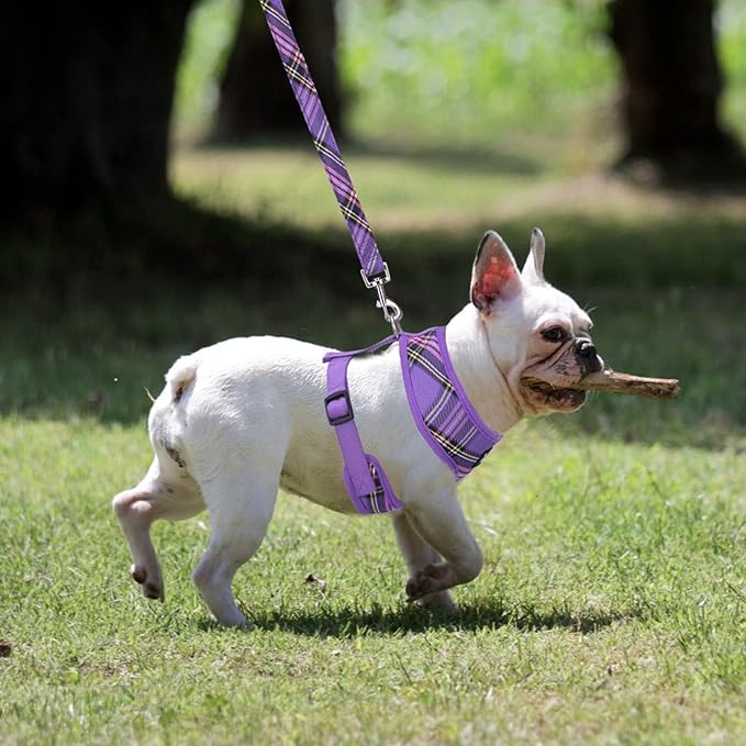 PUPTECK Soft Mesh Dog Harness and Leash Set Pet Puppy Cat Comfort Padded Vest No Pull Harnesses, Purple, XS