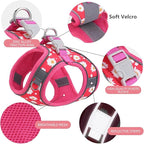 Step in Dog Harness No Pull Flower Adjustable Soft Mesh Padded Reflective Pet Vest Harness and Leash Set for Small Medium Dogs