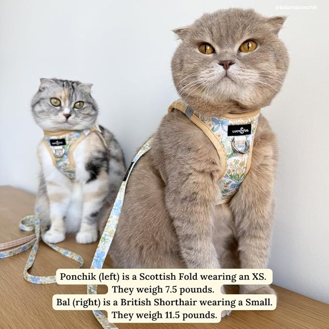 Lucy & Co. Sunshine and Daffodils Step-in Cat Harness and Leash Set Bundle, Reflective, Breathable & Adjustable Harness for Cats, Kittens & Small Dogs, Lightweight & Secure - X-Small