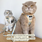 Lucy & Co. Sunshine and Daffodils Step-in Cat Harness and Leash Set Bundle, Reflective, Breathable & Adjustable Harness for Cats, Kittens & Small Dogs, Lightweight & Secure, Small