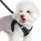 Sparkly Dog Harness Small Sized and Leash Set for Small Dogs Cats,Black XS Puppy Harness, Step in Soft Dog Reflective Vest, Breathable Mesh Pet Harness. (Black, XS)