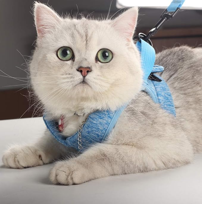 HEYWEAN Cat Harness and Leash - Ultra Light Escape Proof Kitten Collar Cat Walking Jacket with Running Cushioning Soft and Comfortable Suitable for Puppies Rabbits