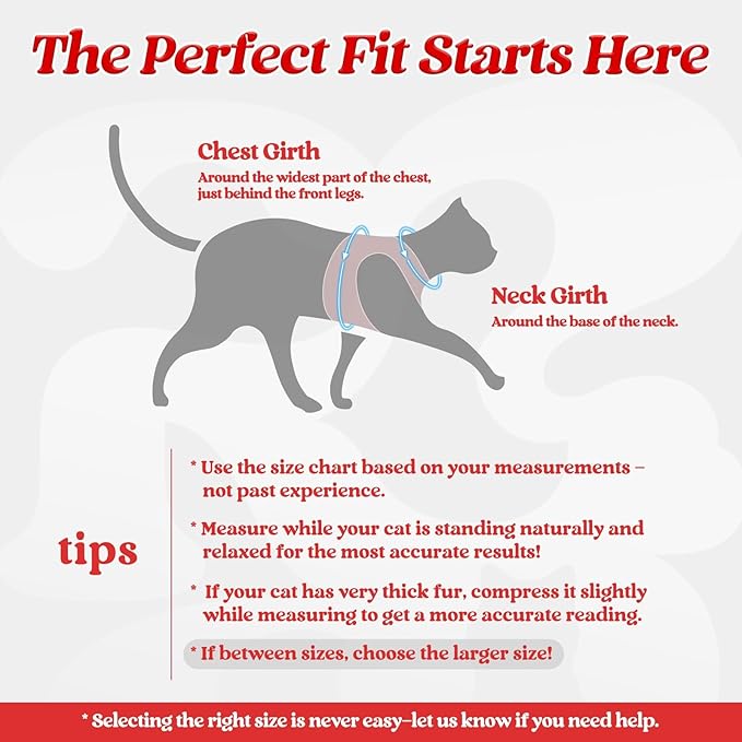 rabbitgoo Cat Harness and Leash Set for Walking Escape Proof, Adjustable Soft Kittens Vest with Reflective Strip for Cats, Comfortable Outdoor Vest, Red, L