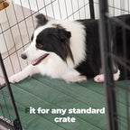 BALANCE Dog Crate Pad, Dog Foam Crate Mat Kennel Pad, Washable Water-Resistant Pet Bed Flat Dogs Cage Mat for Small Dogs