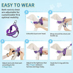 SlowTon No Pull Small Dog Harness and Leash Set, Puppy Soft Vest Harness Neck & Chest Adjustable, Reflective Lightweight Harness & Anti-Twist Pet Lead Combo for Small Medium Dogs (PU-Front Clip, XS)