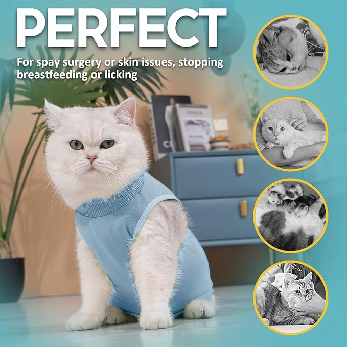 Avont Cat Recovery Suit - Kitten Onesie for Cats After Surgery, Cone of Shame Alternative Surgical Spay Suit for Female Cat, Post-Surgery or Skin Diseases Protection -Blue(S)