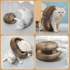 DFQ Kitty Kurlz, Magic Organ Cat Scratching Board Toy with Balls Bells,Made of Recyclable Corrugated Cardboard,Interactive Mental Physical Exercise Cat Toys for Indoor Cats(Brown)