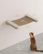 Feandrea Clickat Collection - No.001 Cat Hammock, Extremely Quick Assembly, Unlimited Expandability, Replaceable Module and Fabric, Wall-Mounted Cat Hammock Bed