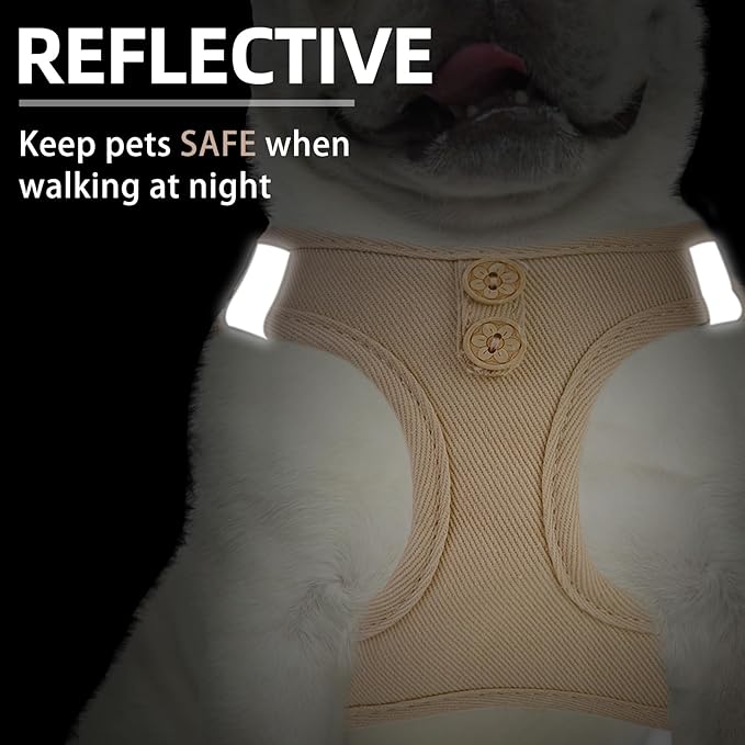 PUPTECK Dog Harness and Leash Set for Small Medium Dogs No Pull Step-in Soft Mesh Puppy Cat Vest Harnesses Reflective at Night, Denim Burlywood S