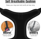 Rnivvi No Pull Dog Harness, Cute Flower Reflective X-Large Sized Puppy Harness, Adjustable Soft Padded Vest for Large Dogs, Heavy Duty Pet Vest with Easy Control Handle for Walking Training, Elegant