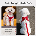 PetiFine Step in Small Dog Harness and Leash Set, Breathable All Weather Air Mesh Reflective Escape Proof, Step-in Vest Harnesses for Puppy(S, Red)
