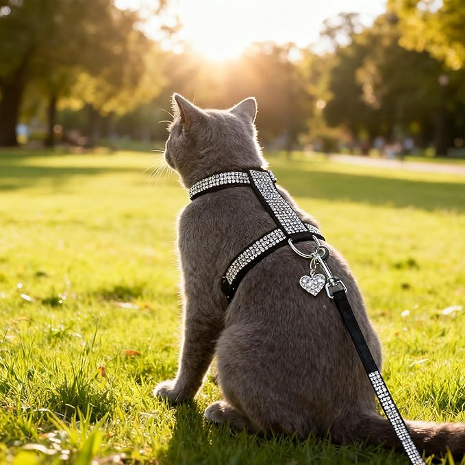 EXPAWLORER Cat Harness and Leash Set - Escape Proof Adjustable Cat Harness, H-shped Comfortable Soft Lightweight Kitten Harness for Outdoor Walking, for Small Medium Cats,Black Rhinestones M