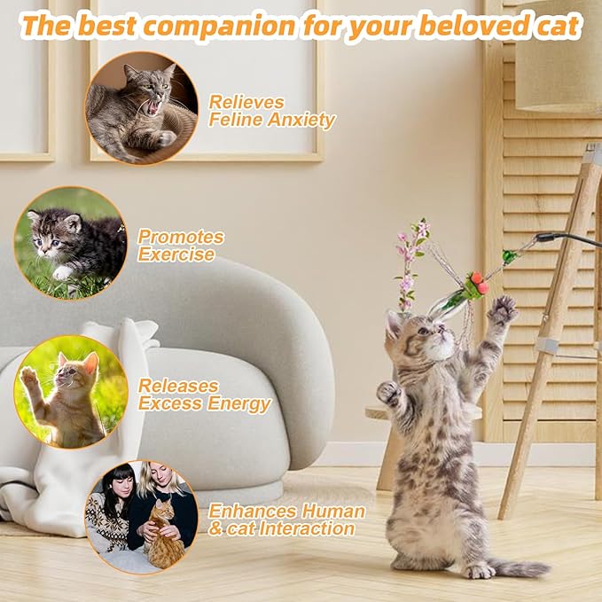 Cat Insect Feather Toys Replacement Cat Toy Wand Refills, 6 Pieces Natural Insect Cat Toy Feathers Refill, Interactive Cat Teaser Wand Attachments, with Bell(Style 8)