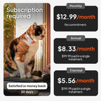 Weenect Cat XS - New GPS Tracker for Cats | Real-time Mini GPS Tracker for Cats | Smallest Model on The Market | Collar Included | Subscription Required (Black, Tracker XS)