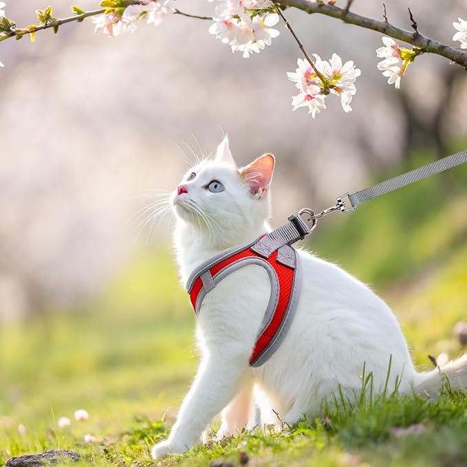 SCENEREAL Cat Harness and Leash Set Escape Proof, Adjustable Soft Air Mesh Kitten Harnesses for Girls Boys Small Medium Big Cats, Reflective Light Travel Pet Walking Vest for Puppy Rabbit, Red L