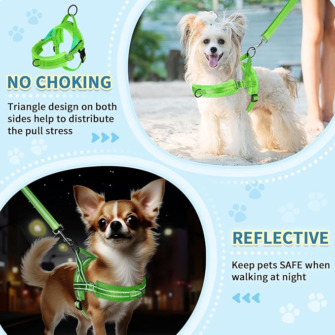 SlowTon No Pull Small Dog Harness and Leash Set, Puppy Soft Vest Harness Neck & Chest Adjustable, Reflective Lightweight Harness & Anti-Twist Pet Lead Combo for Small Medium Dogs (Green-Front Clip,XS)