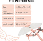 Angel Wings Pet Harness and Leash Set for Dogs & Cats, Adjustable I-Shaped Chest Strap, Padded Anti-Break Rope