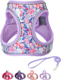 Step in Dog Harness and Leash Set, Flower Adjustable Easy Walk Puppy Harnesses, Soft Mesh Pet Vest Harness Small Size Dog Adjustable No Pull Dog Harness for Small Dogs and Cats(Light Purple, XXS)