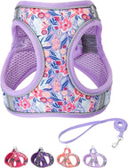 Step in Dog Harness and Leash Set, Flower Adjustable Easy Walk Puppy Harnesses, Soft Mesh Pet Vest Harness Small Size Dog Adjustable No Pull Dog Harness for Small Dogs and Cats(Light Purple, XXS)
