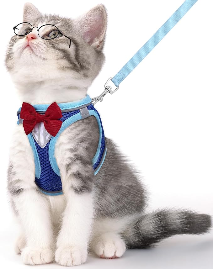 Cat Vest Harness and Leash Set for Walking Escape Proof, Adjustable Kitten Harness Breathable Mesh with Reflective Strips Harness for Kitty Puppy Bunny (Blue, S)