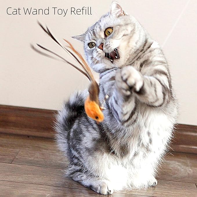 4 Bird Cat Wand Toy Refill for Indoor Cats, Interactive Birds Simulation Set,Door Hanging Feather Cat Toys String Wand Replacement Attachments