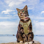 AIWAI Cat Harness and Leash for Walking, Escape Proof Soft Adjustable Vest Harnesses for Cats, Easy Control Breathable Soft Mesh with Control Handle for Large Cat Small Dog, Gift with Patch
