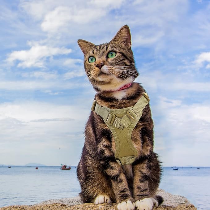 AIWAI Cat Harness and Leash for Walking, Escape Proof Soft Adjustable Vest Harnesses for Cats, Easy Control Breathable Soft Mesh with Control Handle for Large Cat Small Dog, Gift with Patch