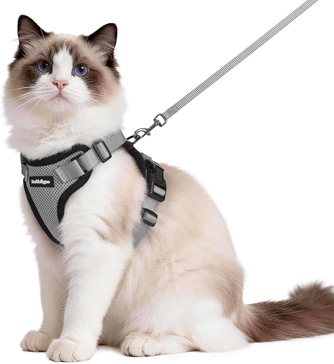 rabbitgoo Cat Harness and Leash for Walking, Escape Proof Soft Adjustable Vest Harnesses for Cats, Easy Control Breathable Reflective Strips Jacket, Grey, M