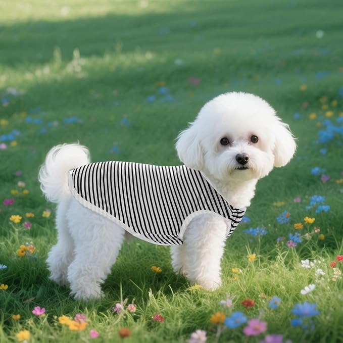 3 Pcs Cat Shirts Solid Color Dog Clothes Summer Sleeveless Stripe Pet T Shirts for Small Pet Dogs Cats (Black, Medium)