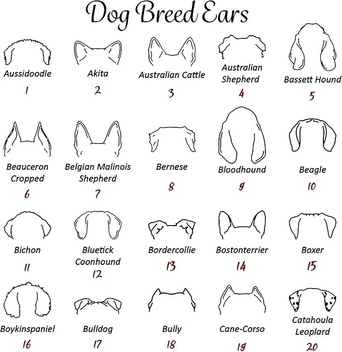 Personalized Dog Mom Sweatshirt, Custom Dog Ear Line Art Portrait Sweatshirt for Women, Pet Name Pullover Crewneck for Women, Customized Pet Lover Gifts, Mom Gift for Christmas Mothers 2