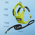Voyager Escape-Proof Step-in Lock Cat Harness & 5ft Neoprene-Handle Leash Set All-Weather Mesh with Reflective Stitching for Small to Large Cats by Best Pet Supplies, Lime Green, XXS